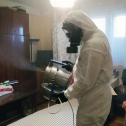Дезинфекция от клопов в Заречном